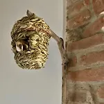 Il Nido