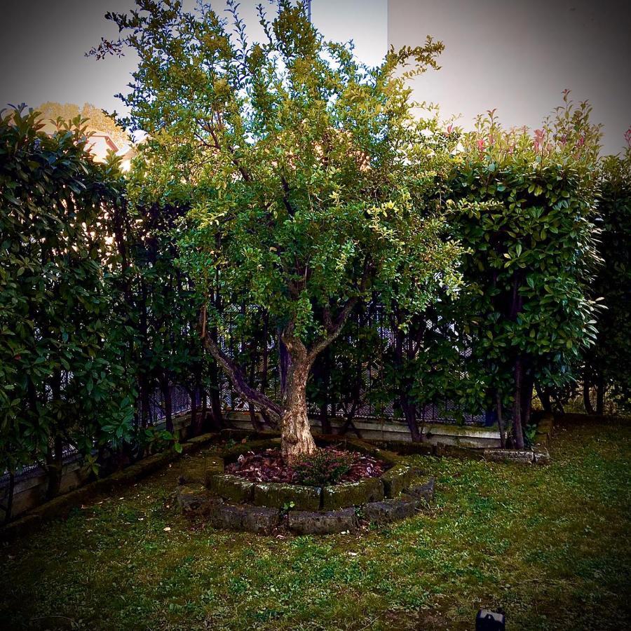 Residenza Il Fiore Bed & Breakfast