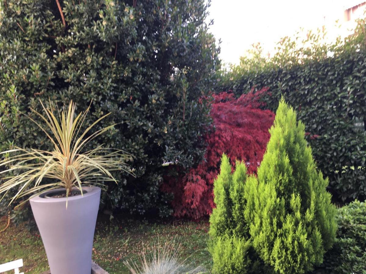 Residenza Il Fiore Bed & Breakfast