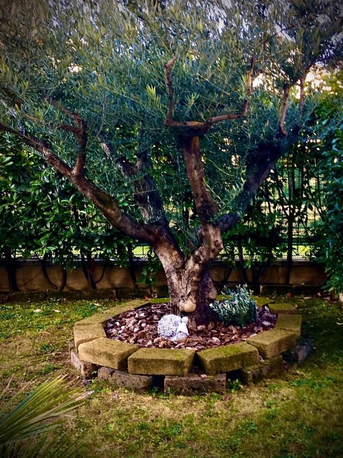 Residenza Il Fiore