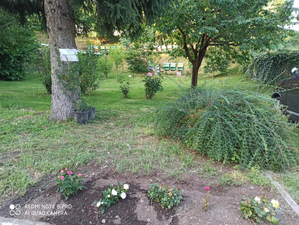 Holiday home Casa Bibi Bergamo