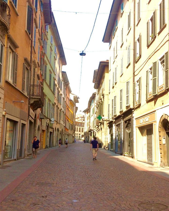 Moira * Bergamo