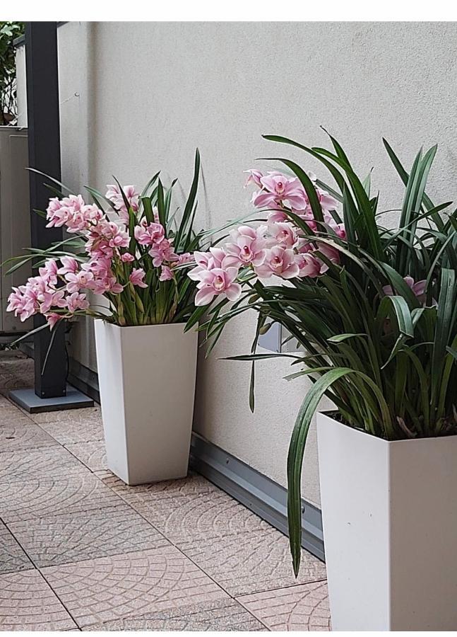 Bed & Breakfast Smart House Rooms Central Luxury Bergamo