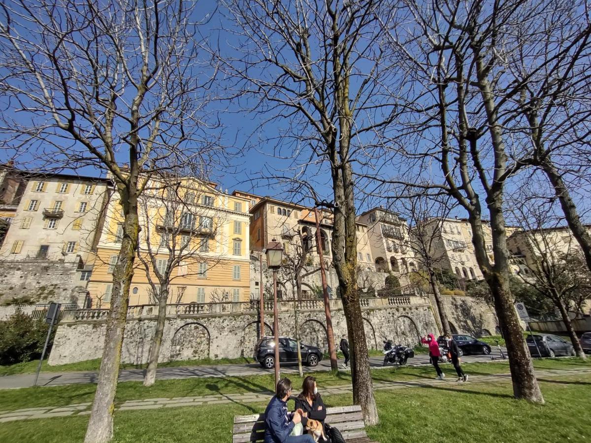 Dolce Notti