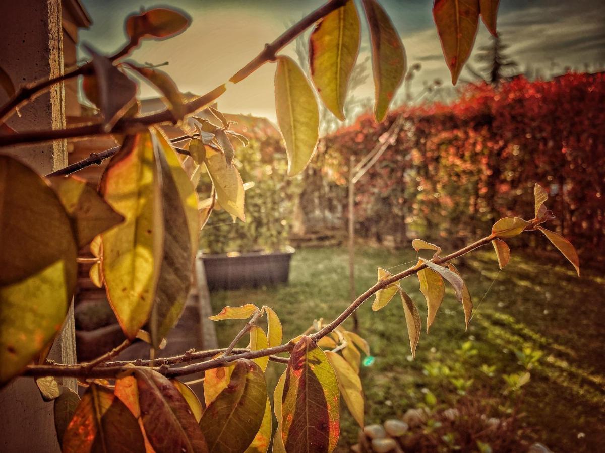 Residenza Il Fiore 3*