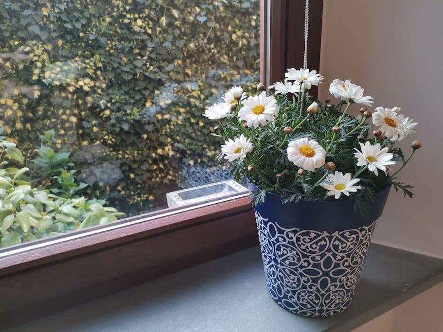 Orio Cosy Corner_ Smart Living In Apartment