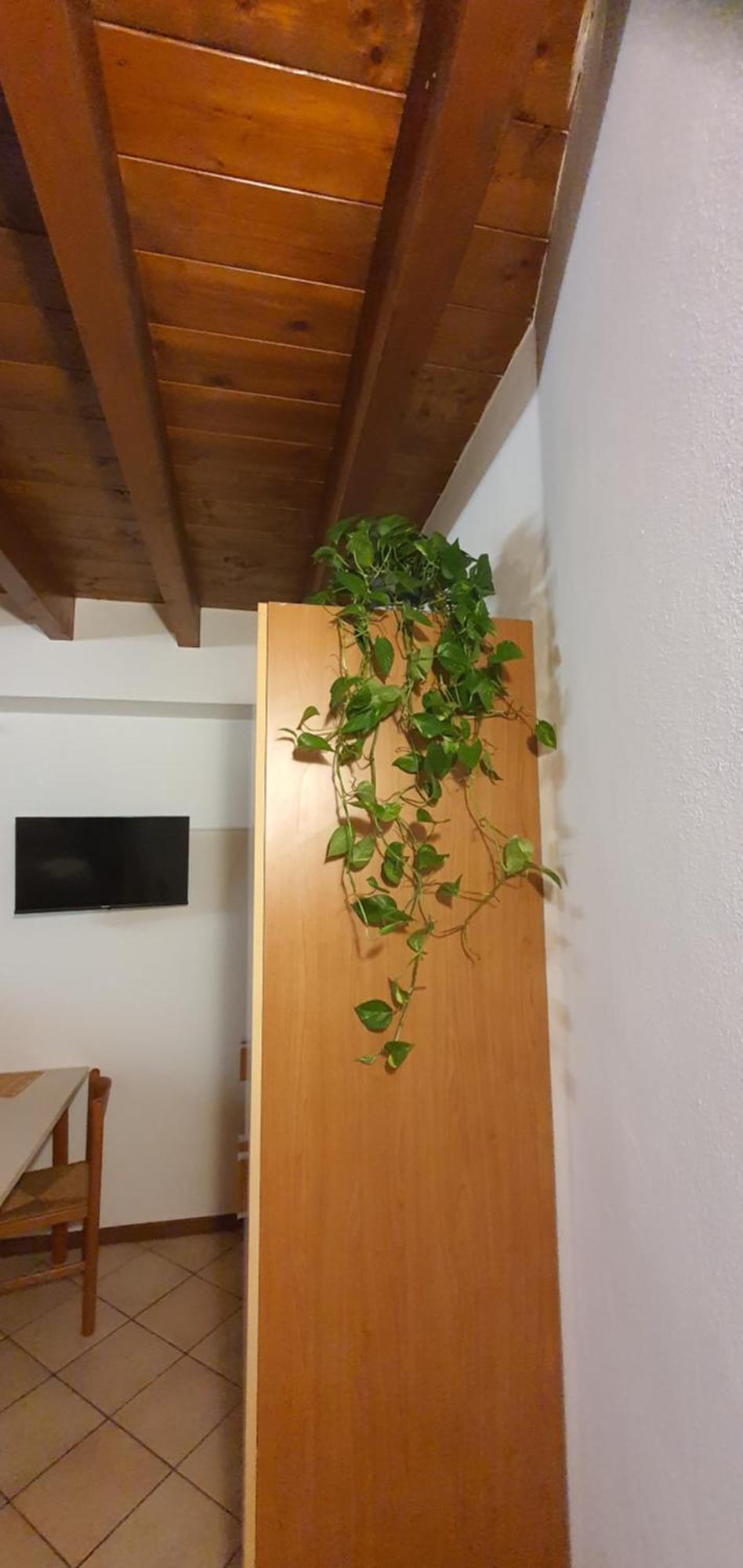 Bnbg - Ronzoni Apartment