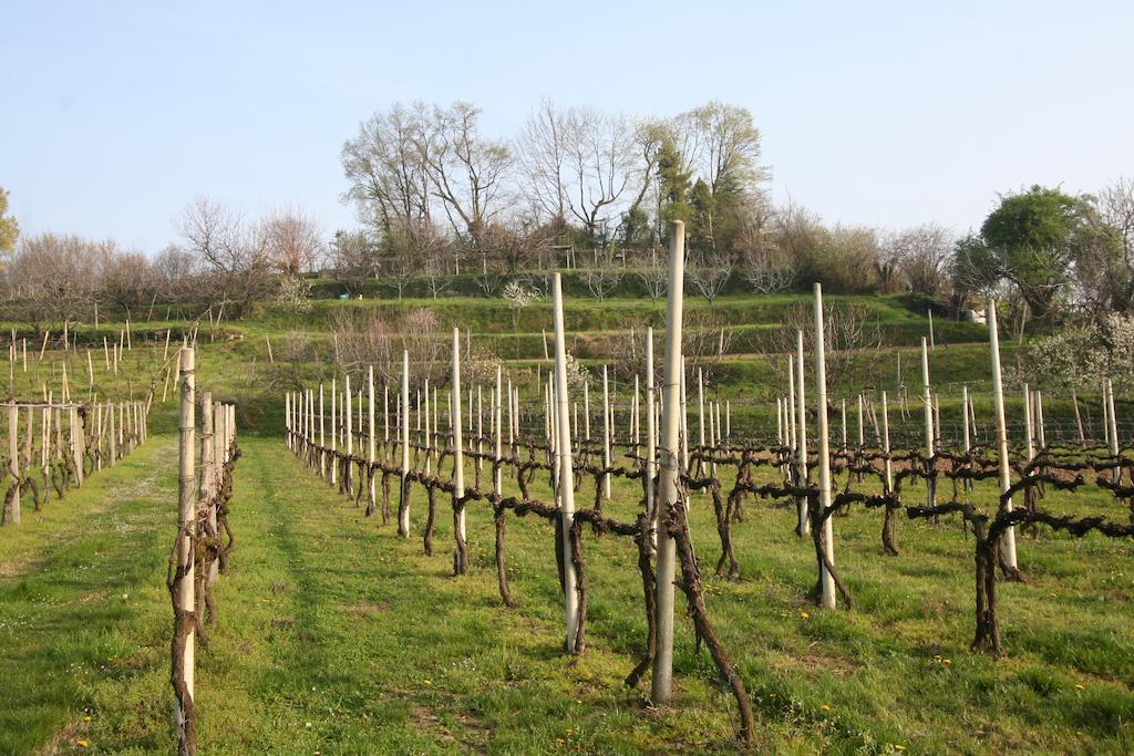 Bed & Breakfast Castello Presati *