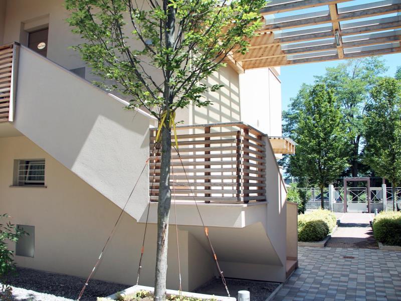 Bombyx 2* Bergamo
