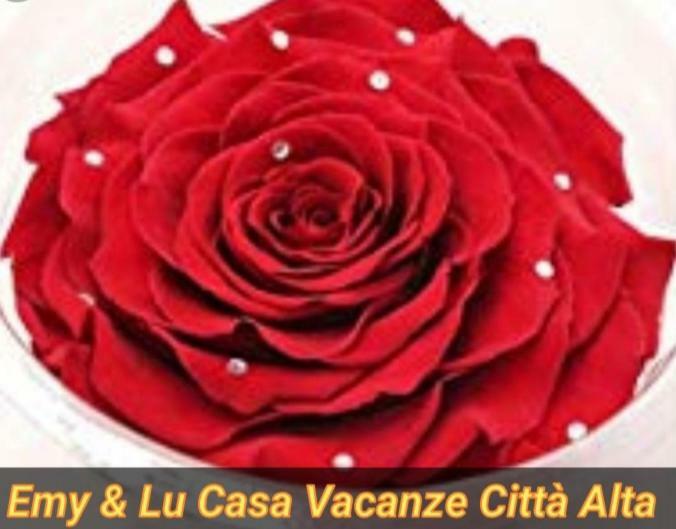 Holiday home Emy & Lu Casa Citta' Alta *