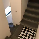 Gatto Bianco Bergamo 9