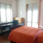 B&B Bam Bam