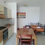 Il Tulipano