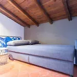 Papavero Accademia Carrara
