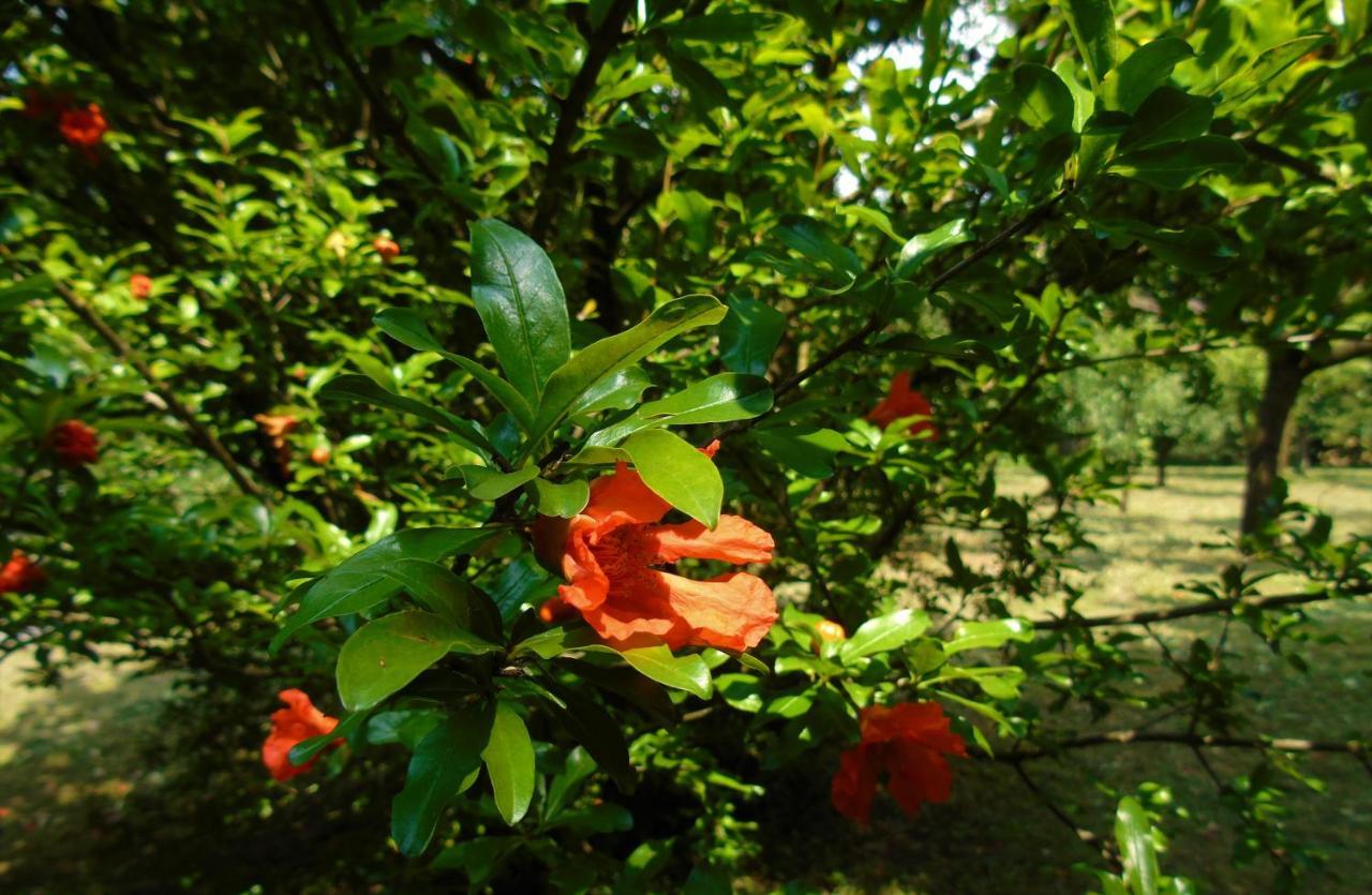 Cascina Cavalli Astino