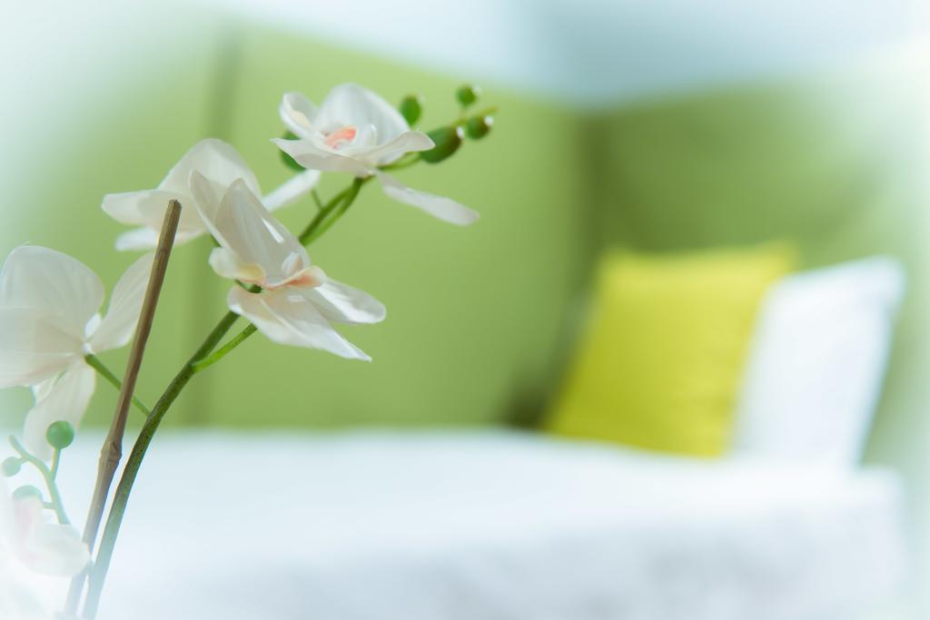 San Benedetto Bed & Breakfast 3*