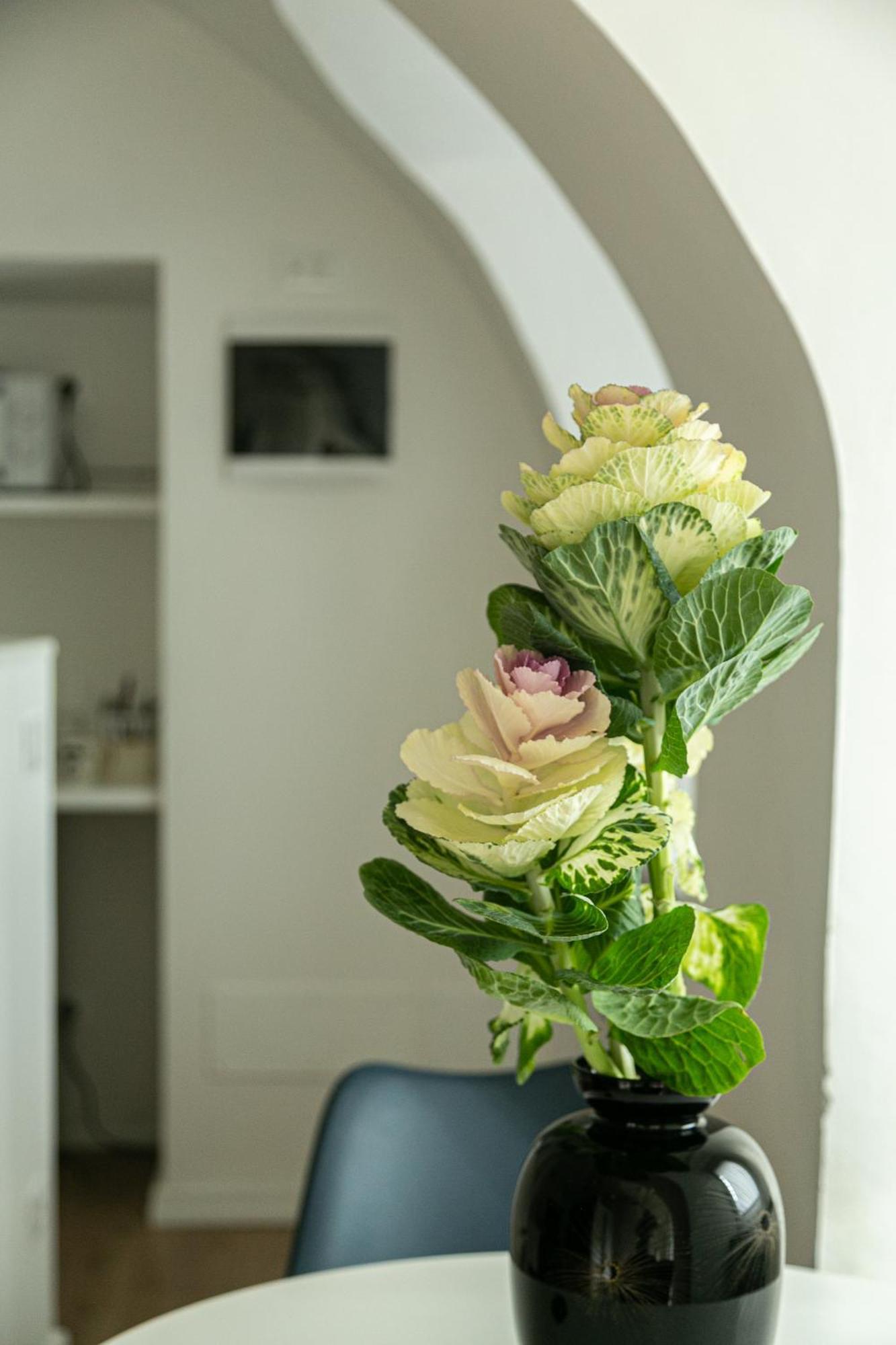 Casa Di Beppe Citta Alta Apartment