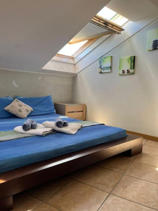 Solemahouse - The Bright Attic * Bérgamo