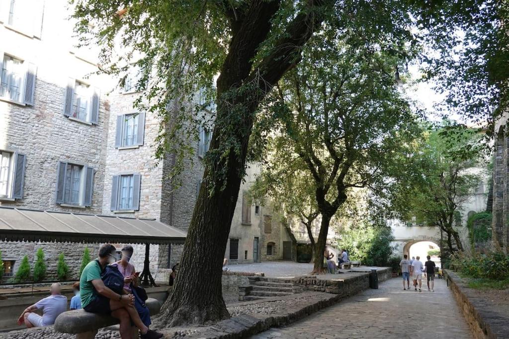 Luxury Charm Centro Huoneisto