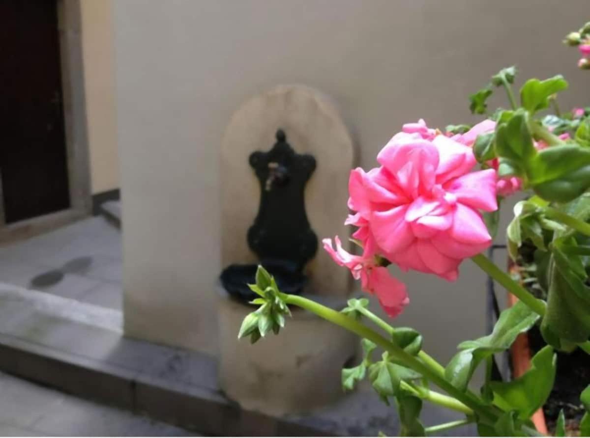 Apartment Dream Citta Alta