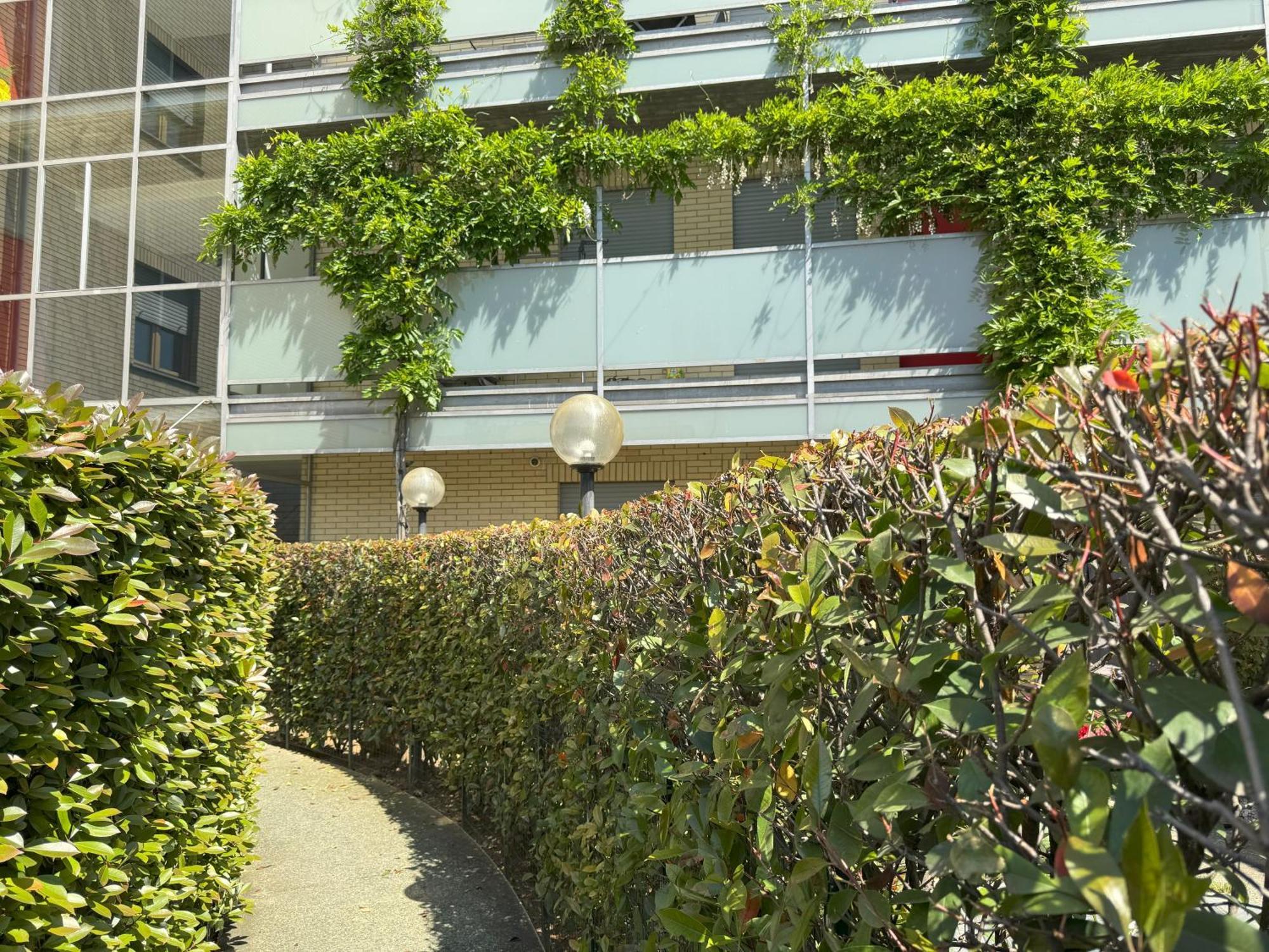 Apartment Glicine *