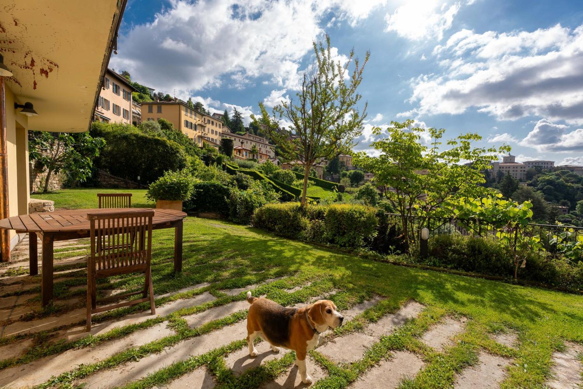 Apartment Panoramica Bergamo