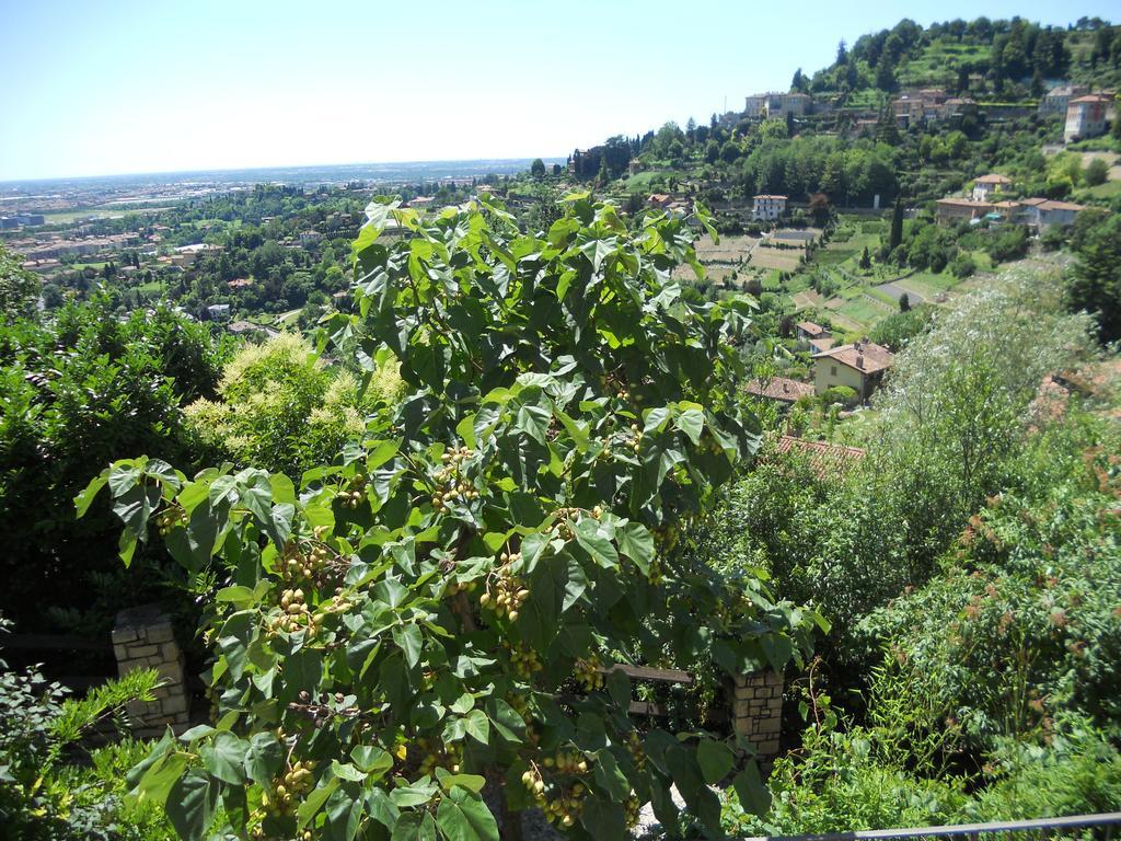 A Casa Mia 3*