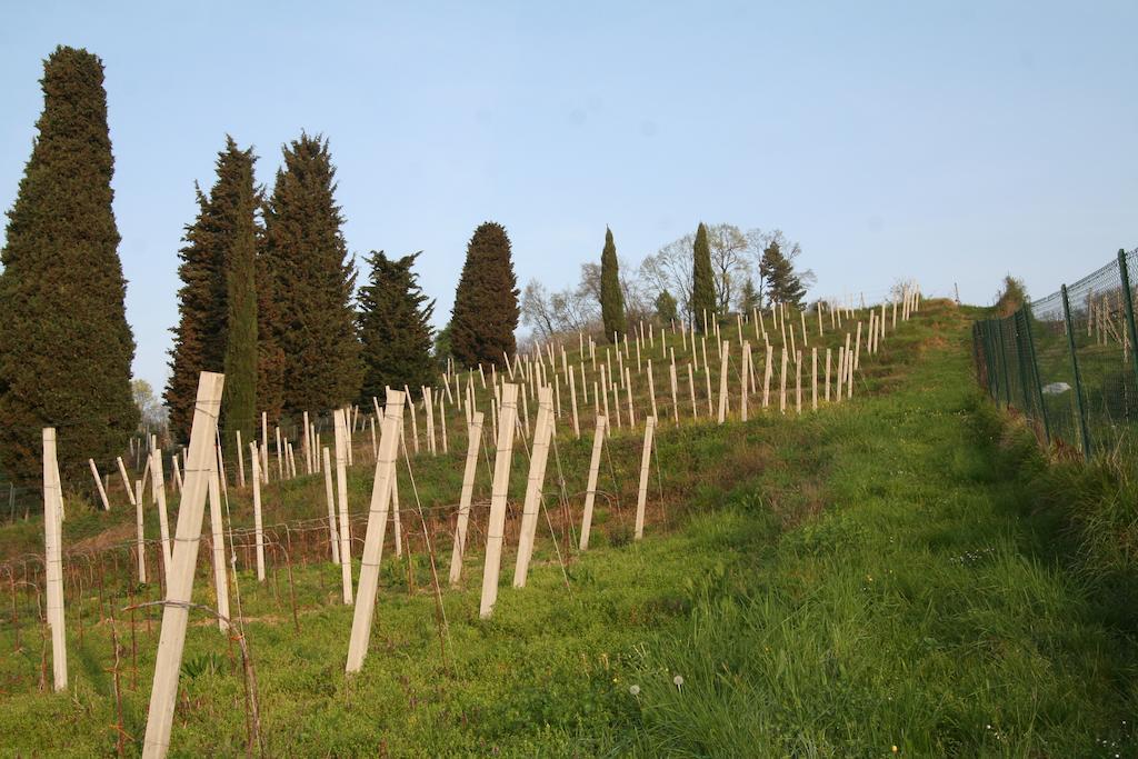 Bed & Breakfast Sant'anna Bergamo