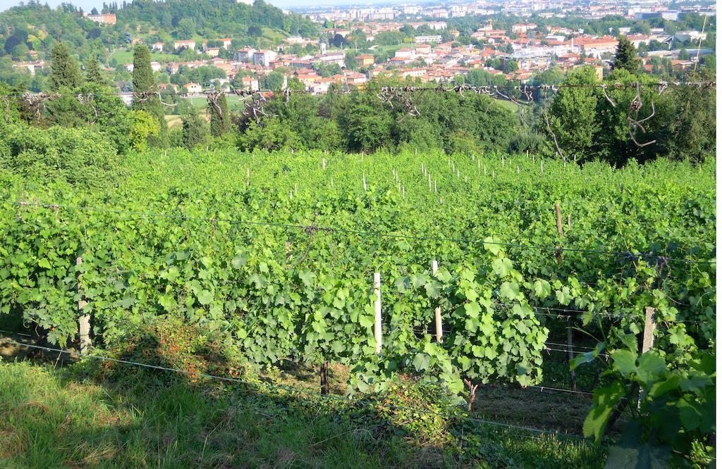 Bed & Breakfast Castello Presati