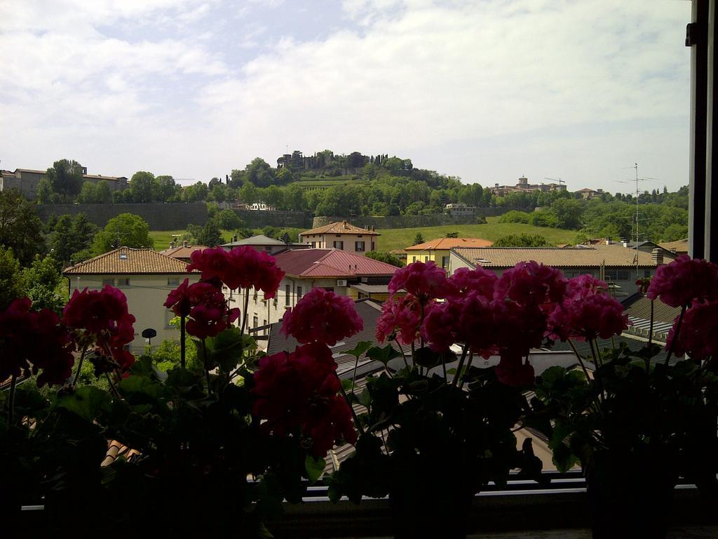 Bed & Breakfast La Casa Rosa