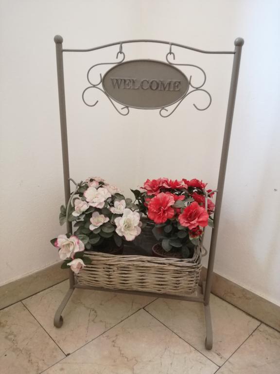 Guest house & Dintorni