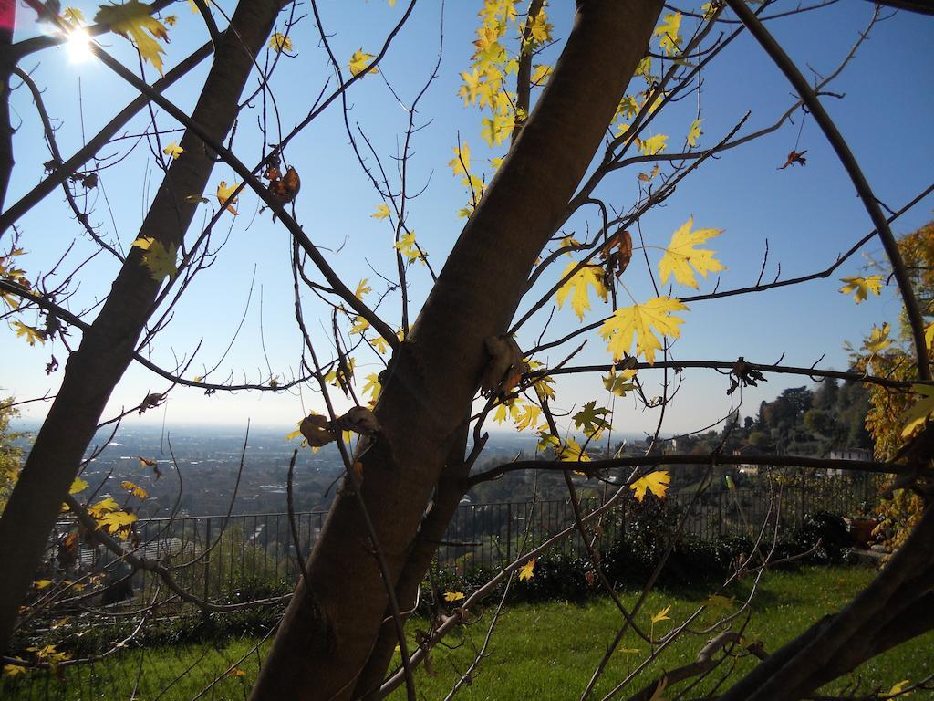 Sant'erasmo 2*