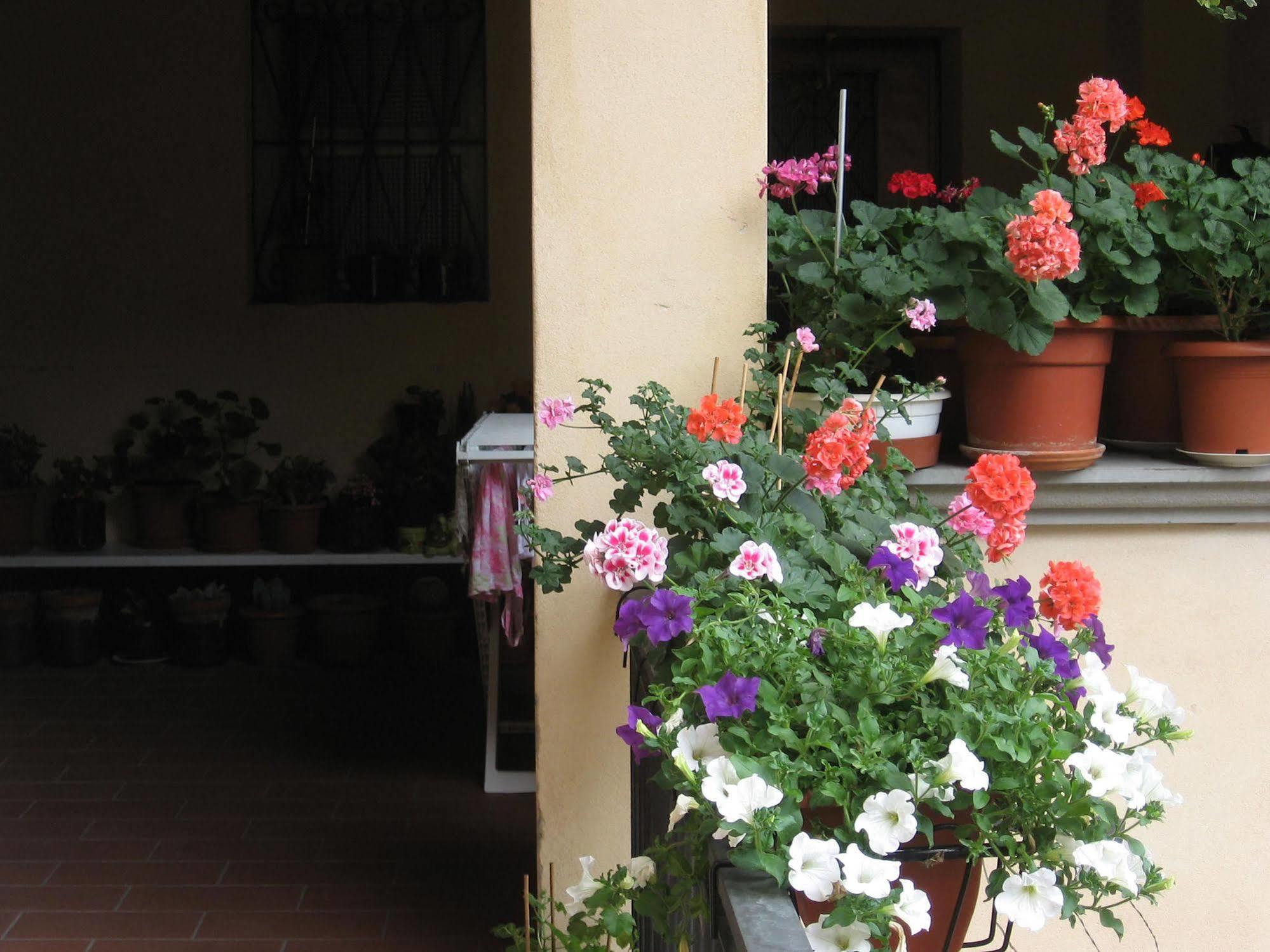 Bed & Breakfast Agnese Old Town Bergamo