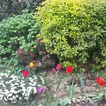 B&B il Patio