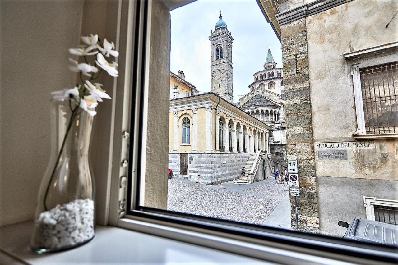 Astra-modern Loft Cathedral View Apartment *