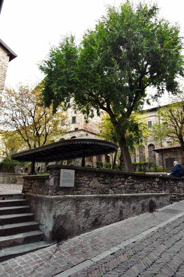 Pura Vida Città Alta Bergamo