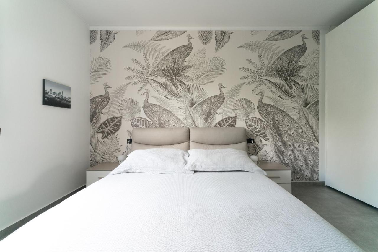 Oasis Luxury - A.c/terrace/2bedrooms Apartment