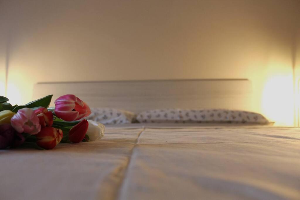 Venere Apartment