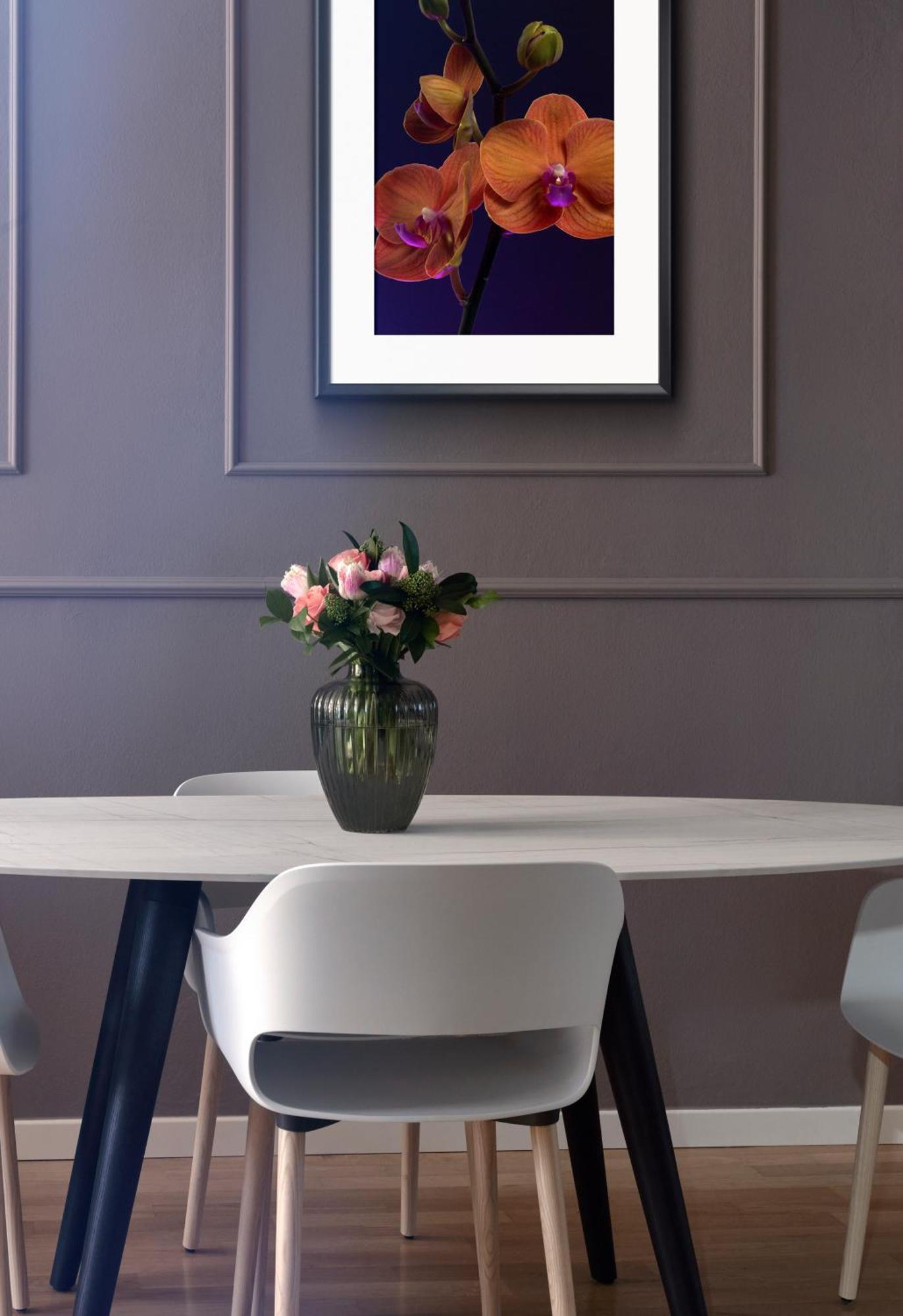 Apartment Rego - Boutique & Serenity With Some Off-site In The Heart Of Center *