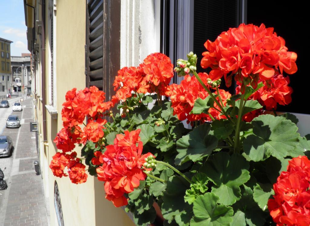 Bed & Breakfast In Centro Charme