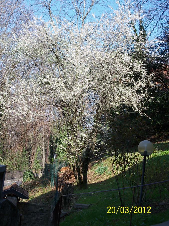 Frühstückspension I Ghiri 4*