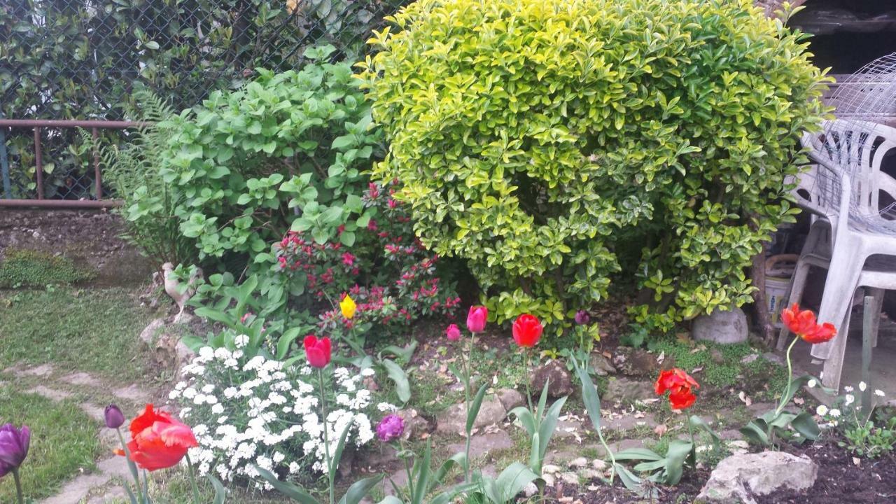 Il Patio Bed & Breakfast *